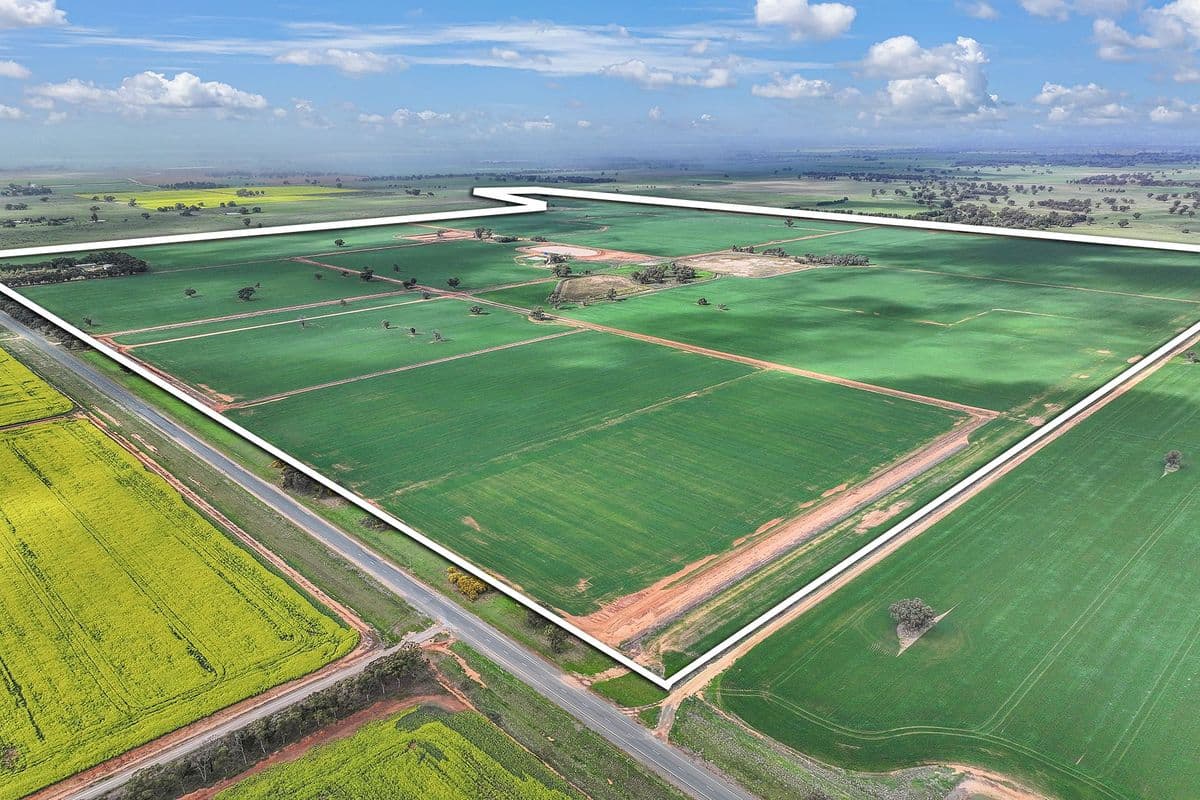 Land & Development Sites